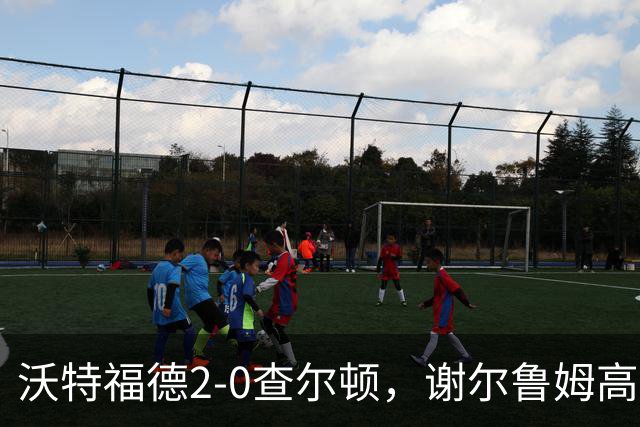 沃特福德2-0查尔顿，谢尔鲁姆高首开记录，泽姆拉锁定胜局